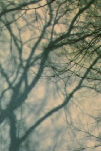 Poster of In a Tree’s Shadow II