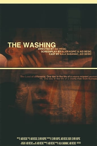 Poster of The Washing