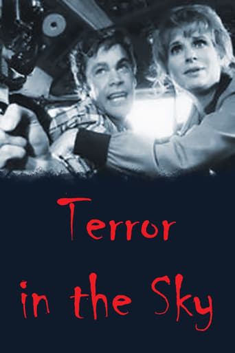 Poster of Terror in the Sky