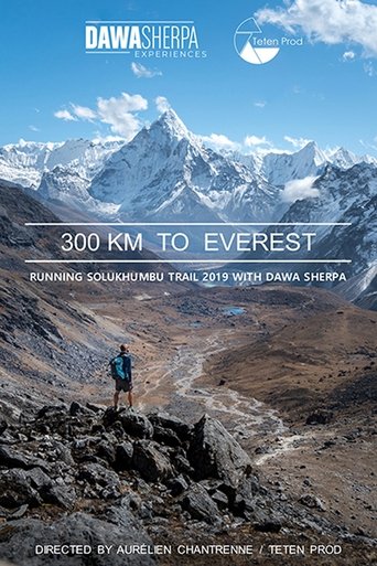 Poster of 300 KM TO EVEREST