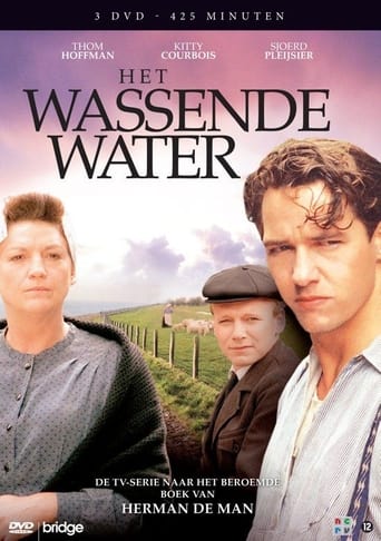 Poster of Het wassende water