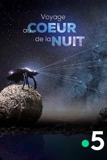 Poster of Voyage Au Coeur De La Nuit