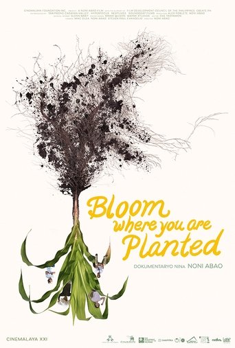 Poster of Bloom Where You Are Planted