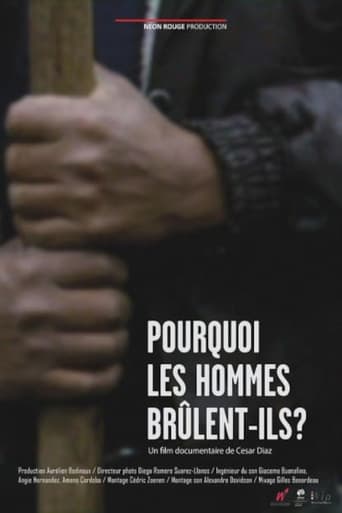 Poster of Pourquoi les hommes brûlent-ils?