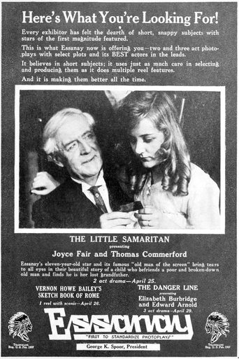 Poster of The Little Samaritan