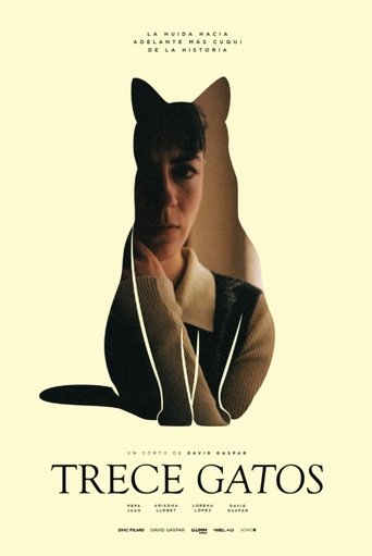Poster of Trece gatos