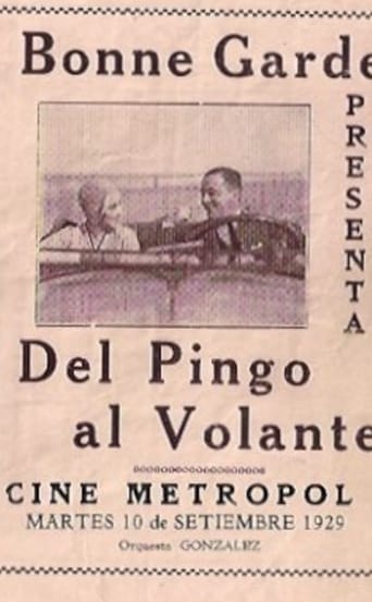 Poster of Del pingo al volante