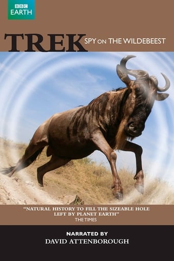 Poster of Trek - Spy on the Wildebeest