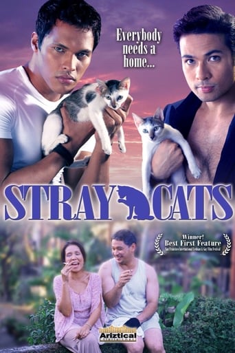 Poster of Stray Cats