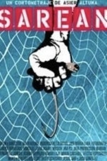 Poster of In the Net