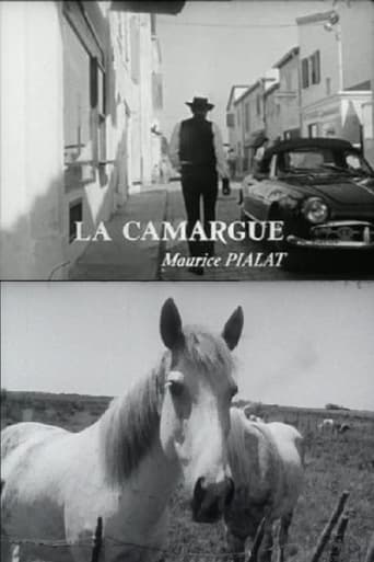 Poster of La Camargue