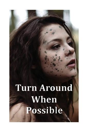 Poster of Turn Around When Possible