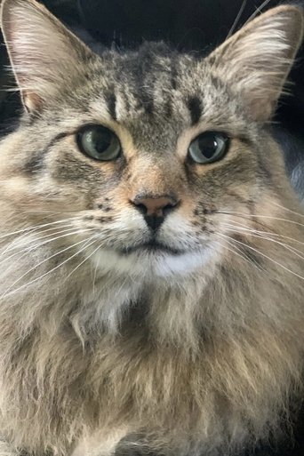 Portrait of Tonic