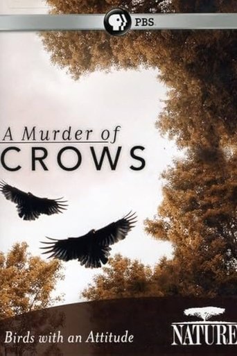 Poster of A Murder of Crows