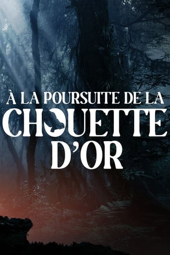 Poster of A la poursuite de la chouette d'or