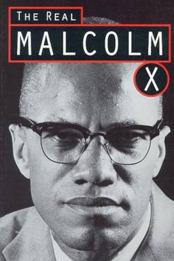 Poster of The Real Malcolm X