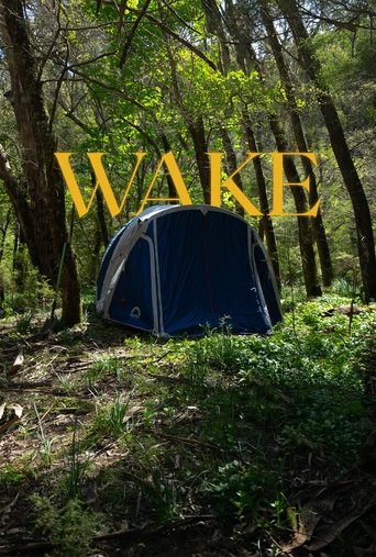 Poster of Wake