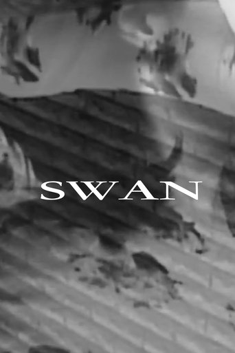 Poster of Swan