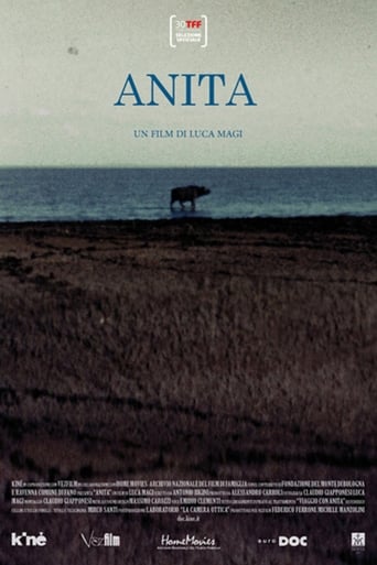 Poster of Anita