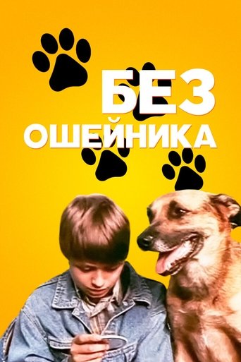 Poster of Without a Collar
