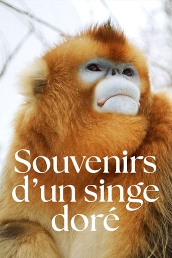 Poster of Souvenirs d'un singe doré