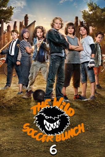 Poster of The Wild Soccer Bunch 6