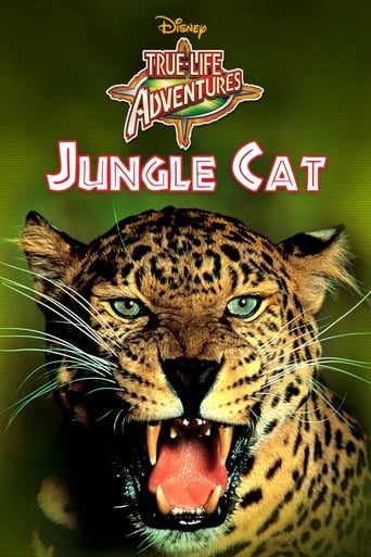 Poster of Jungle Cat