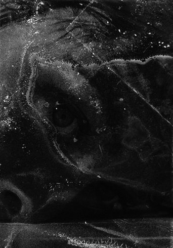 Poster of After Psycho Shower