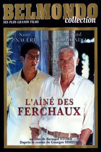 Poster of L'Aîné des Ferchaux