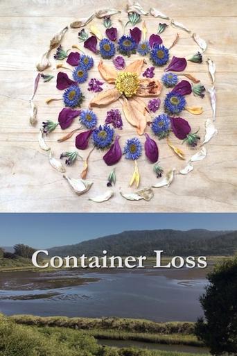 Poster of Container Loss