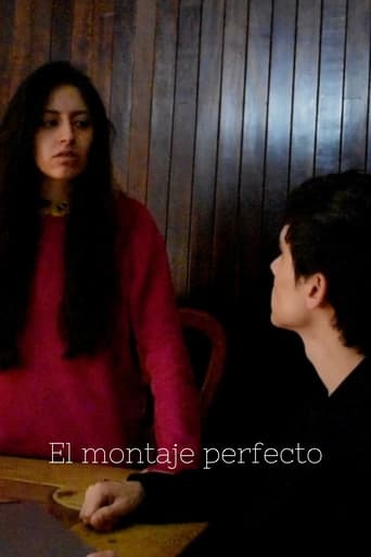 Poster of El montaje perfecto