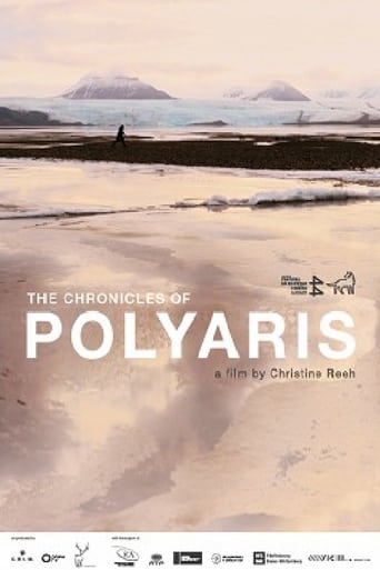 Poster of The Chronicles of Polyaris