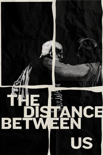 Poster of The Distance Between Us