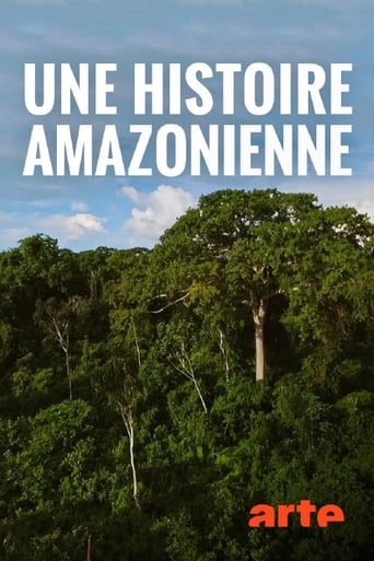 Poster of Une histoire amazonienne