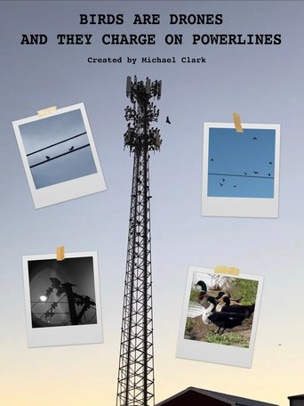 Poster of BIRDS ARE DRONES AND THEY CHARGE ON POWERLINES