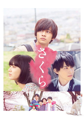 Poster of Sakura