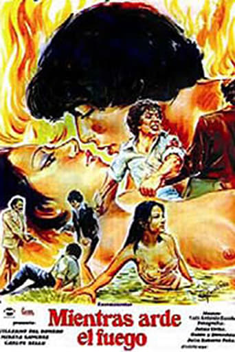 Poster of While the Fire Lasts