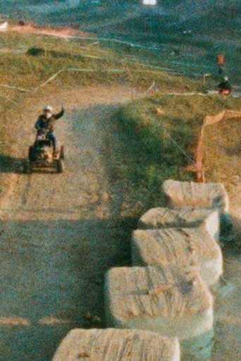 Poster of Increvables