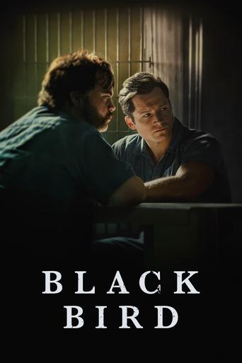 Poster of Black Bird