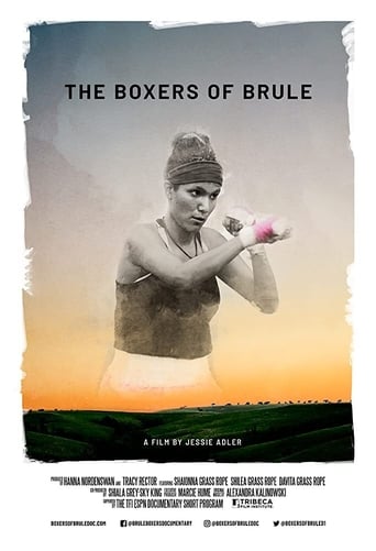 Poster of The Boxers of Brule