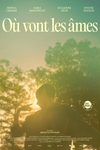 Poster of Where Souls Go