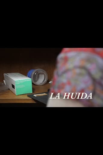 Poster of La huida