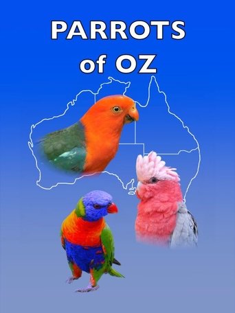 Parrots of Oz Poster of Parrots of Oz