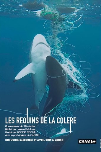 Poster of Les Requins de la Colère