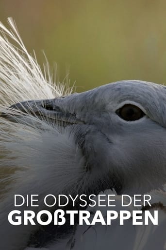 Poster of Die Odyssee der Großtrappen - Das Comeback der Riesenvögel