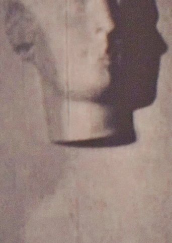 Poster of I Saw the Shadow