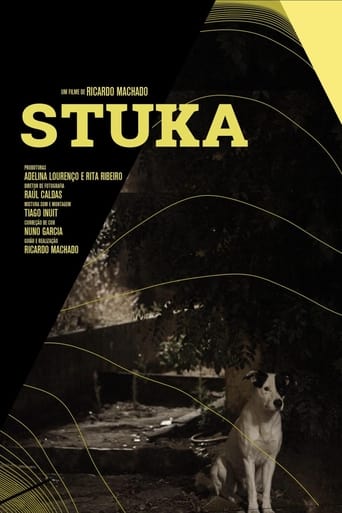 Poster of Stuka