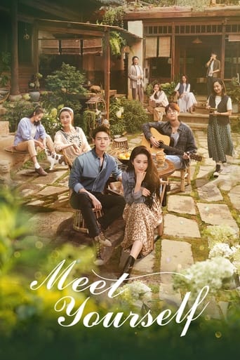 Poster of Meet Yourself