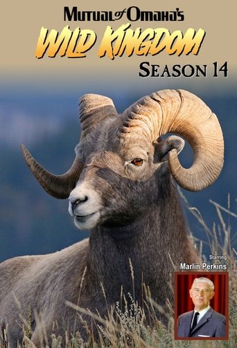 Portrait for Mutual of Omaha's Wild Kingdom - Season 14