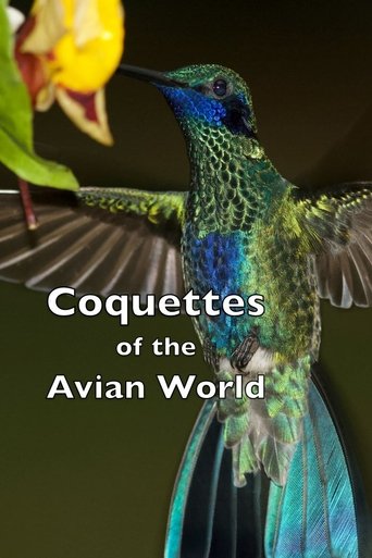 Poster of Coquettes of the Avian World